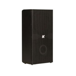 Domino KF210 - Ultra-compact, Passive Full-range Speaker